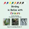 Birding in Belize with Colours cover