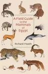 A Field Guide to the Mammals of Egypt cover