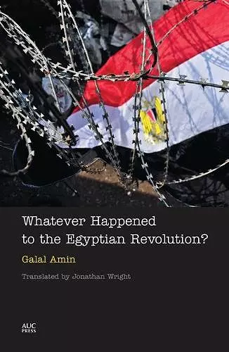 Whatever Happened to the Egyptian Revolution? cover