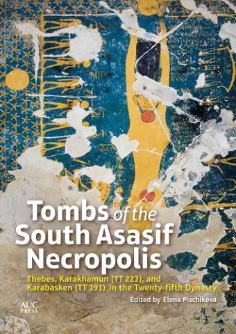 Tombs of the South Asasif Necropolis cover