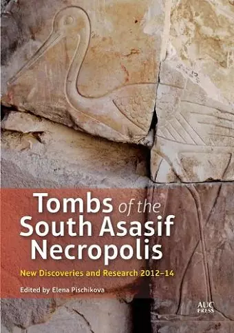 Tombs of the South Asasif Necropolis cover