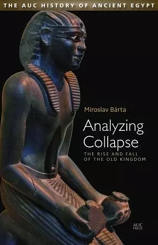 Analyzing Collapse cover