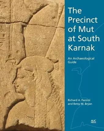 The Precinct of Mut at South Karnak cover