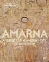 Amarna cover