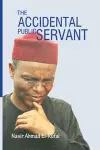 The Accidental Public Servant cover