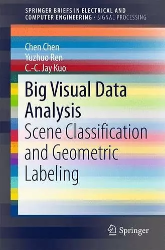 Big Visual Data Analysis cover
