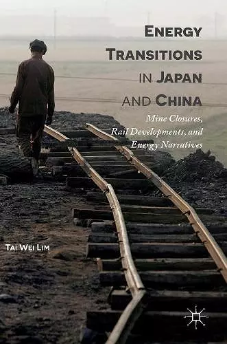 Energy Transitions in Japan and China cover