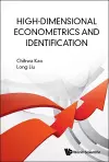 High-dimensional Econometrics And Identification cover