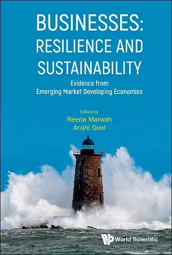 Businesses: Resilience And Sustainability - Evidence From Emerging Market Developing Economies cover