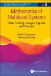 Mathematics Of Multilevel Systems: Data, Scaling, Images, Signals, And Fractals cover