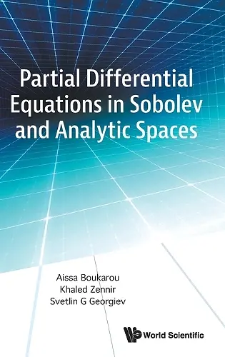 Partial Differential Equations In Sobolev And Analytic Spaces cover