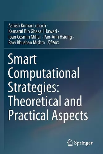 Smart Computational Strategies: Theoretical and Practical Aspects cover