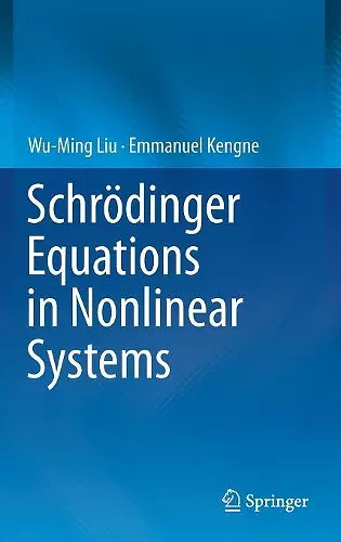 Schrödinger Equations in Nonlinear Systems cover