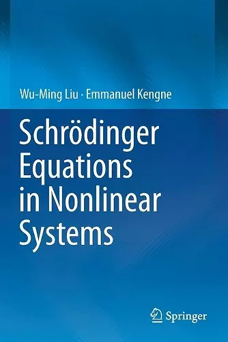 Schrödinger Equations in Nonlinear Systems cover