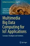 Multimedia Big Data Computing for IoT Applications cover