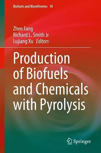 Production of Biofuels and Chemicals with Pyrolysis cover