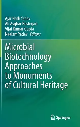 Microbial Biotechnology Approaches to Monuments of Cultural Heritage cover
