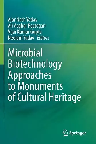 Microbial Biotechnology Approaches to Monuments of Cultural Heritage cover
