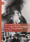 More Heat than Life: The Tangled Roots of Ecology, Energy, and Economics cover