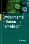 Environmental Pollution and Remediation cover