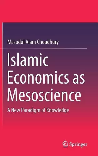 Islamic Economics as Mesoscience cover