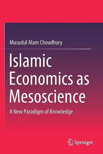 Islamic Economics as Mesoscience cover