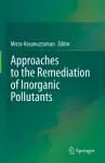 Approaches to the Remediation of Inorganic Pollutants cover