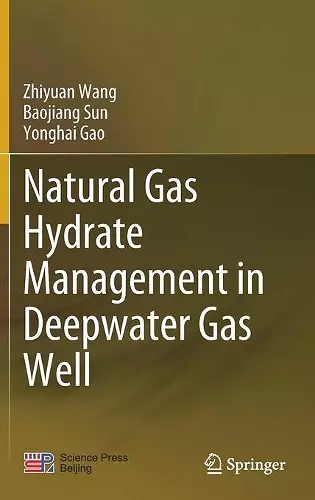 Natural Gas Hydrate Management in Deepwater Gas Well cover