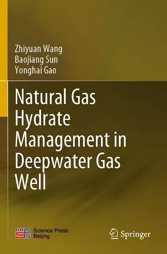 Natural Gas Hydrate Management in Deepwater Gas Well cover