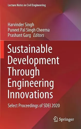 Sustainable Development Through Engineering Innovations cover