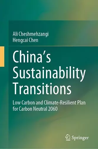 China's Sustainability Transitions cover