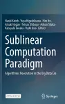 Sublinear Computation Paradigm cover