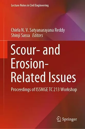 Scour- and Erosion-Related Issues cover