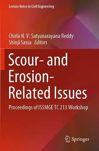 Scour- and Erosion-Related Issues cover