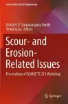 Scour- and Erosion-Related Issues cover