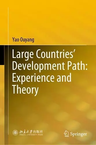 Large Countries’ Development Path: Experience and Theory cover