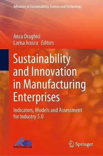 Sustainability and Innovation in Manufacturing Enterprises cover