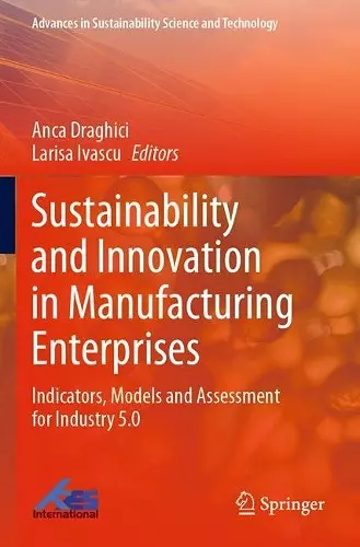 Sustainability and Innovation in Manufacturing Enterprises cover