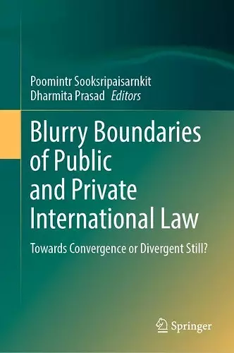 Blurry Boundaries of Public and Private International Law cover