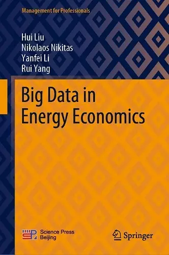 Big Data in Energy Economics cover