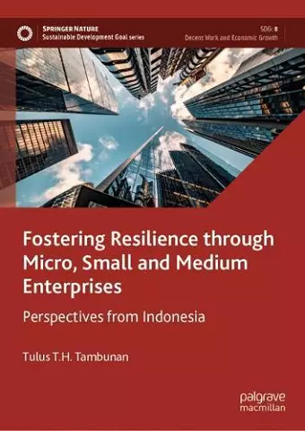 Fostering Resilience through Micro, Small and Medium Enterprises cover