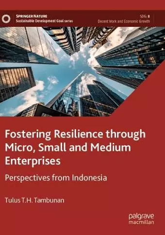 Fostering Resilience through Micro, Small and Medium Enterprises cover
