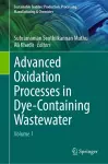 Advanced Oxidation Processes in Dye-Containing Wastewater cover