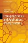 Emerging Studies and Applications of Grey Systems cover