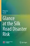 Glance at the Silk Road Disaster Risk cover