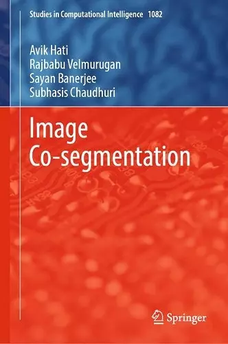 Image Co-segmentation cover