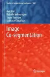 Image Co-segmentation cover