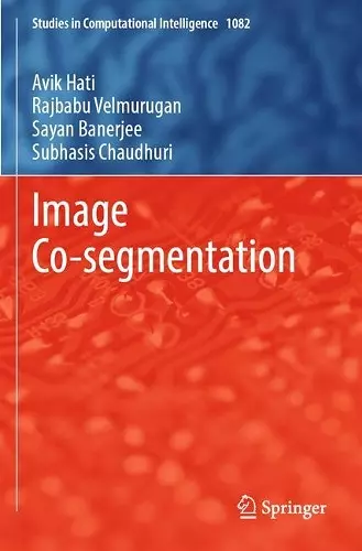 Image Co-segmentation cover