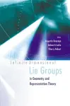 Infinite Dimensional Lie Groups In Geometry And Representation Theory cover