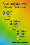 Facts And Mysteries In Elementary Particle Physics cover